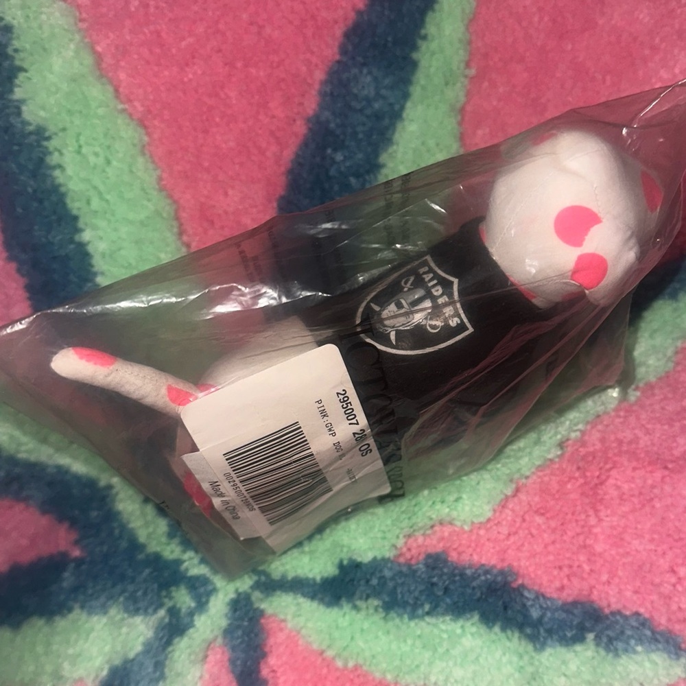 Victoria's Secret Pink Raiders mini dog
